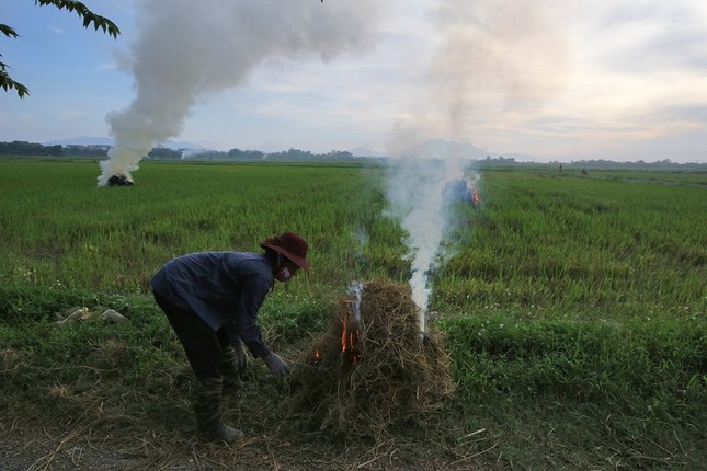 Rom kho, vo trau duoc rao ban ram ro tren mang de lam gi?