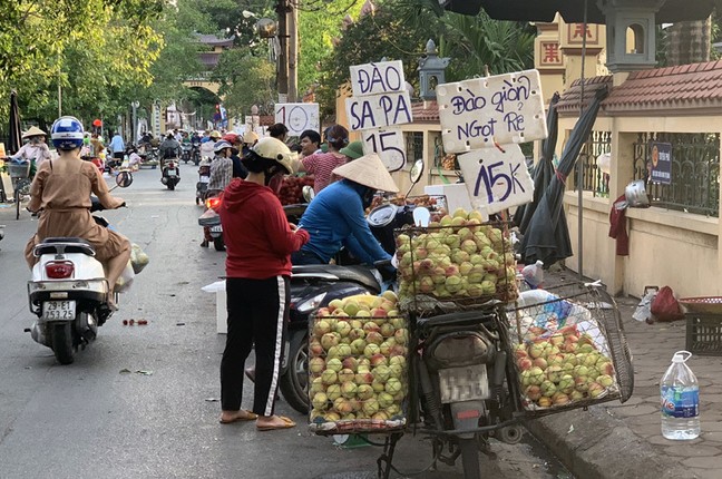 Dan trong nghe tiet lo xuat xu dao Sa Pa gia sieu re-Hinh-4