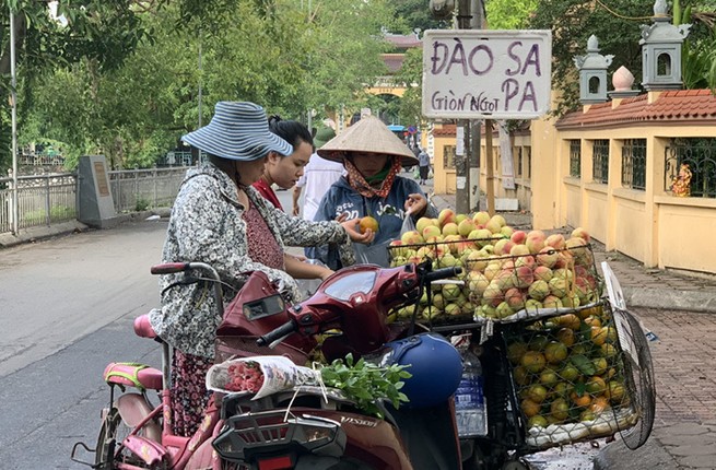 Dan trong nghe tiet lo xuat xu dao Sa Pa gia sieu re