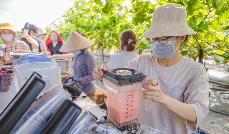 Can canh nong trai nho triu qua giua Ha Noi-Hinh-8