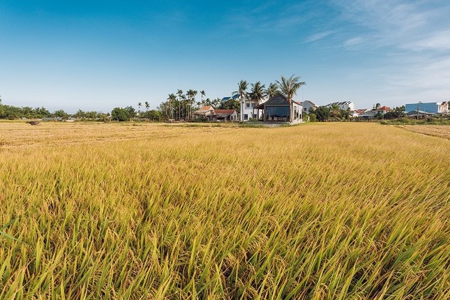 Xem biet thu giua dong cua cap vo chong tre o Hoi An-Hinh-3