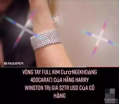 Dai gia Nguyen Phuong Hang tuyen bo rao ban nhan kim cuong 1.000 ty dong-Hinh-7