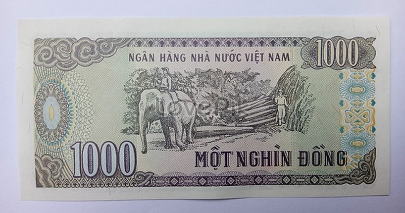 Nhung tiet lo thu vi khien nhieu nguoi bat ngo ve dong tien cua Viet Nam-Hinh-4