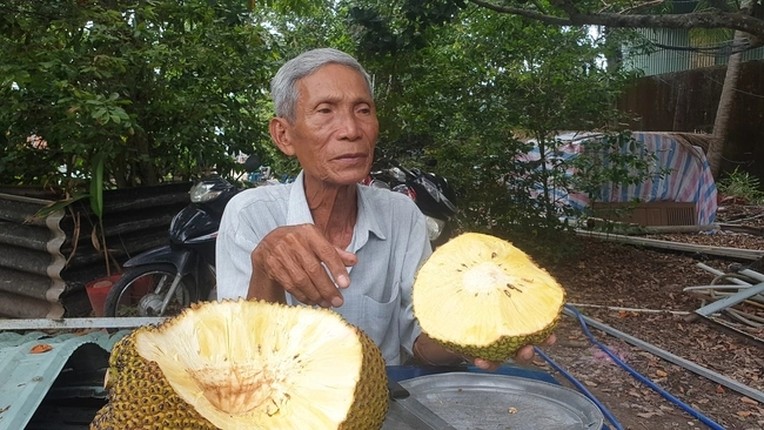 Mit khong hat Ba Lang giup lao nong kiem tien ty-Hinh-4