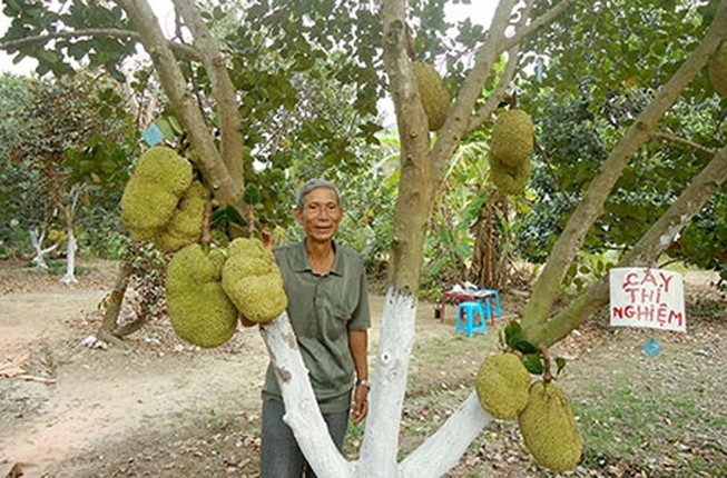 Mit khong hat Ba Lang giup lao nong kiem tien ty-Hinh-6