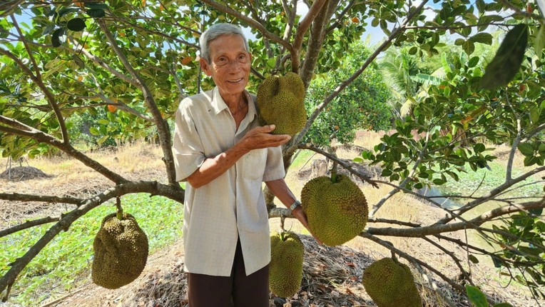 Mit khong hat Ba Lang giup lao nong kiem tien ty-Hinh-9