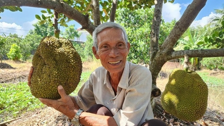 Mit khong hat Ba Lang giup lao nong kiem tien ty