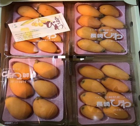 Su that ve loai qua gia tien trieu ma nguoi Viet dang san lung-Hinh-8