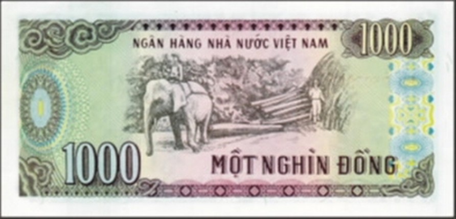 6 to tien giay dang luu hanh nhung hiem gap-Hinh-9