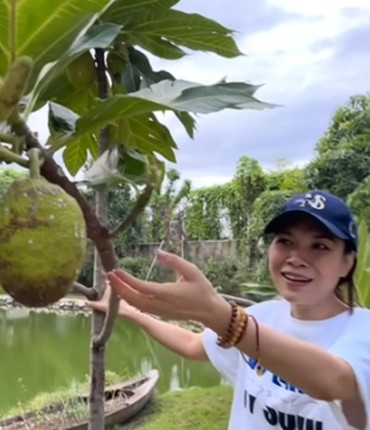 “Biet phu” nghin met vuong cua ca si My Tam