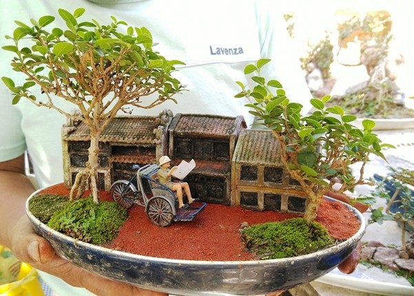 Chi tiet nhung cay bonsai mini cua lao nong Nha Trang-Hinh-11