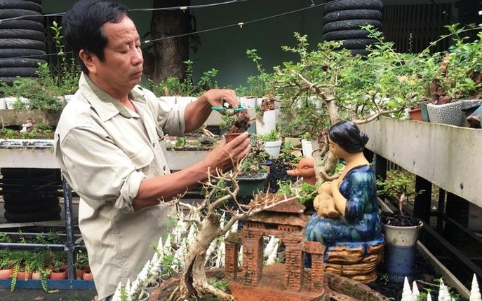 Chi tiet nhung cay bonsai mini cua lao nong Nha Trang