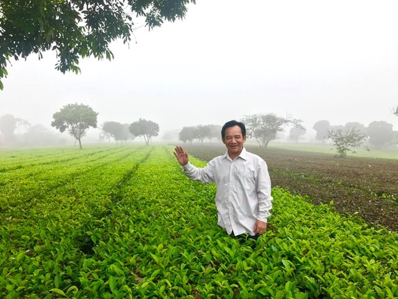 NSUT Quang Teo co khoi tai san khung ra sao-Hinh-12