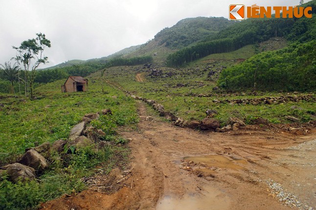 Nhung di tich lich su ghi dau nhieu bien co lon o Quang Ngai-Hinh-13