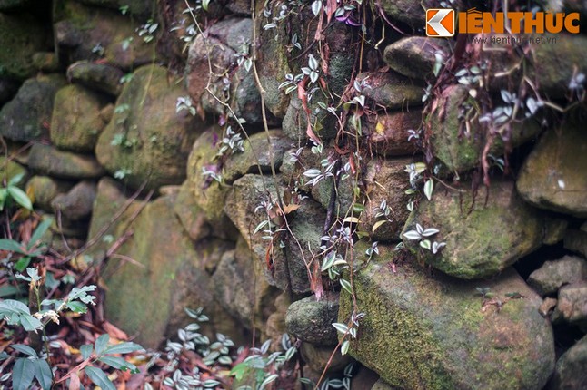 Nhung di tich lich su ghi dau nhieu bien co lon o Quang Ngai-Hinh-14