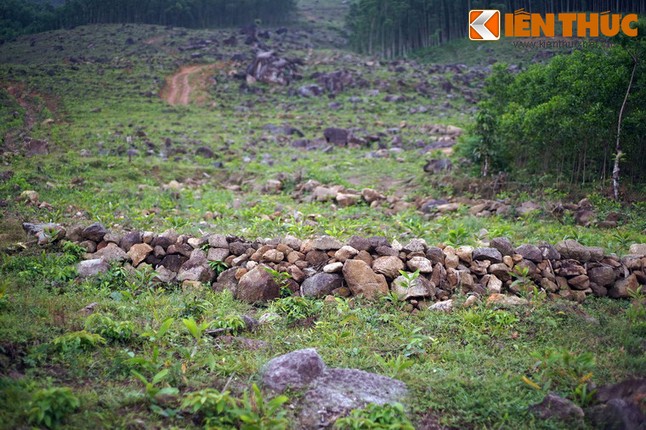 Nhung di tich lich su ghi dau nhieu bien co lon o Quang Ngai-Hinh-15