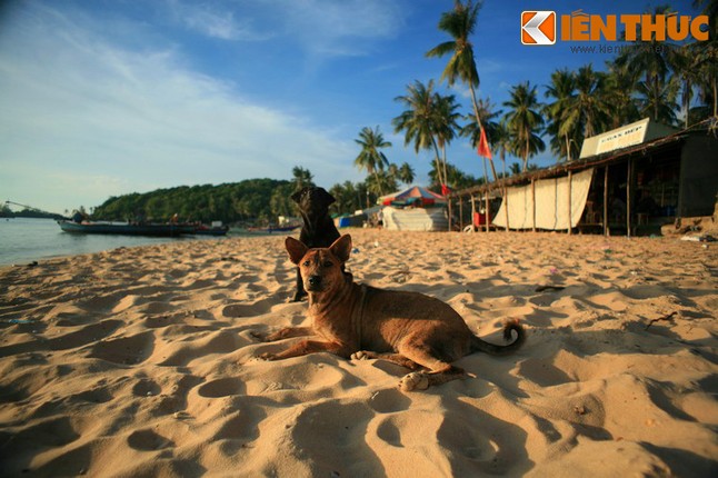 Nhung dieu tuyet voi o quan dao van nguoi me cua Phu Quoc-Hinh-10