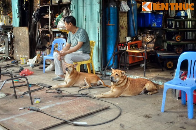 Bi mat chua tung tiet lo ve pho Lo Ren tru danh Ha Noi-Hinh-3