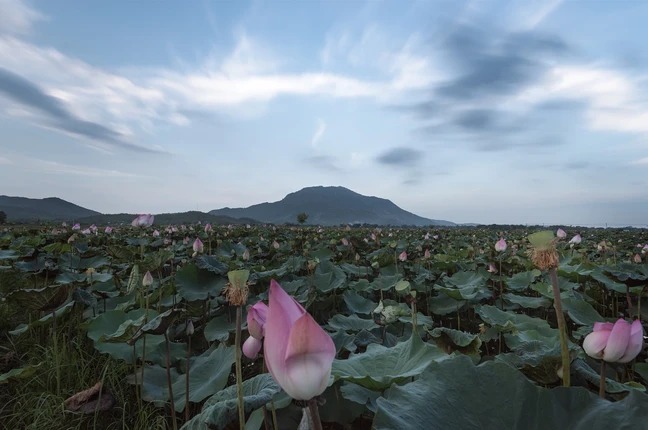 Ngat ngay voi loat anh dep Viet Nam 2019 qua ong kinh quoc te-Hinh-8