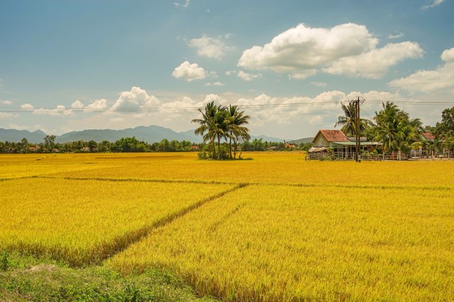 Can canh net dep kho ta cua Nha Trang trong anh cua du khach Nga-Hinh-11