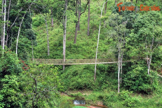 Ngoi lang dep nhu truyen co tich giua nui rung Da Lat-Hinh-3