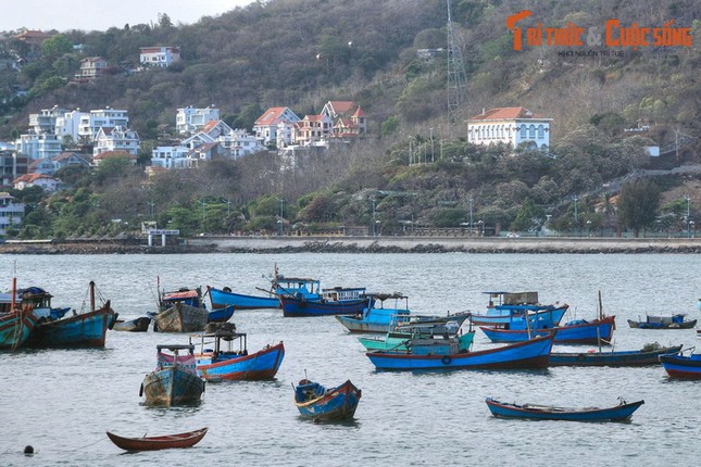 Nhung canh dep me hon cua thanh pho bien Vung Tau-Hinh-2