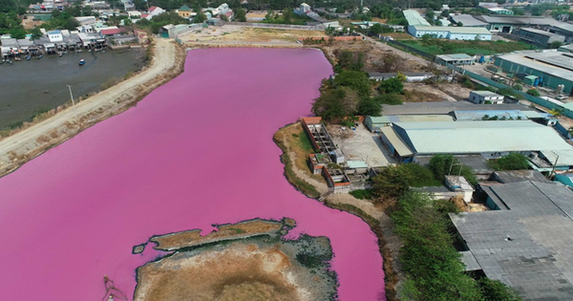 Ai la thu pham gay mau tim ngat tren dam nuoc o Ba Ria - Vung Tau?-Hinh-10