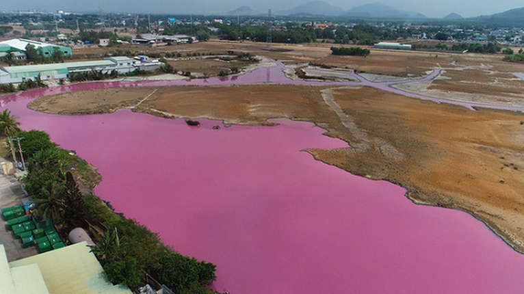 Ai la thu pham gay mau tim ngat tren dam nuoc o Ba Ria - Vung Tau?-Hinh-2