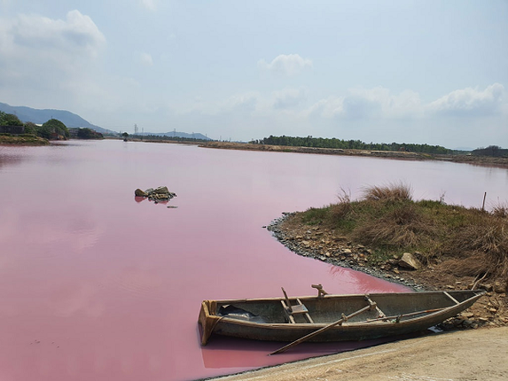 Ai la thu pham gay mau tim ngat tren dam nuoc o Ba Ria - Vung Tau?-Hinh-6