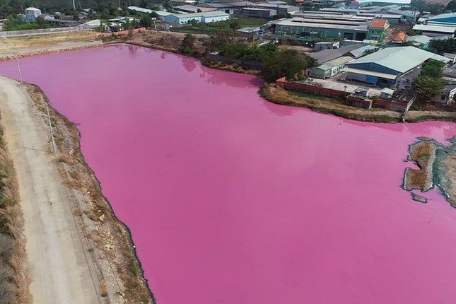 Ai la thu pham gay mau tim ngat tren dam nuoc o Ba Ria - Vung Tau?-Hinh-8