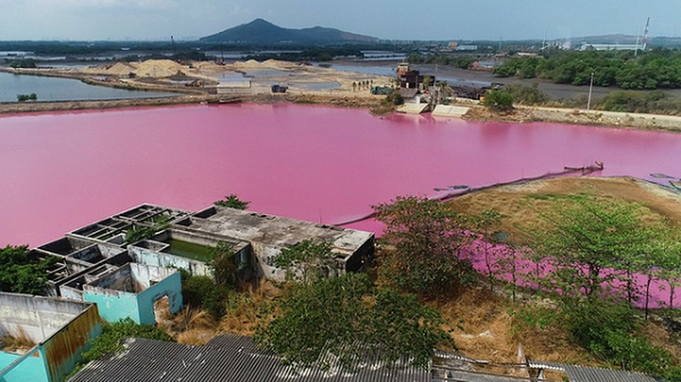 Ai la thu pham gay mau tim ngat tren dam nuoc o Ba Ria - Vung Tau?