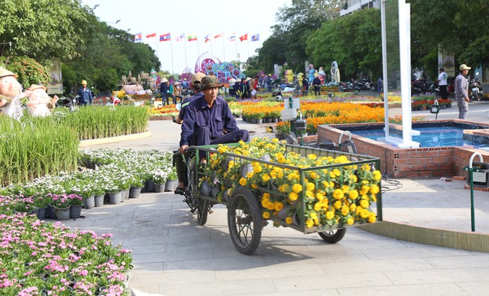 Duong hoa Tet lon nhat TP HCM khoe sac ngay giap Tet-Hinh-9