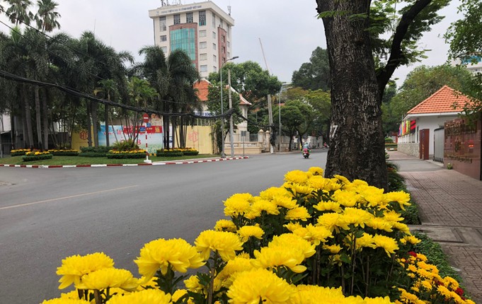 Duong pho Sai Gon vang ve ngay dau nghi Tet Ky Hoi-Hinh-8