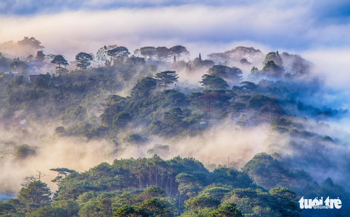 Da Lat mo mang trong 'mua nang lanh' dep nhat nam-Hinh-3