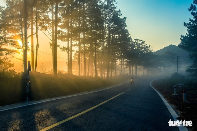 Da Lat mo mang trong 'mua nang lanh' dep nhat nam-Hinh-7