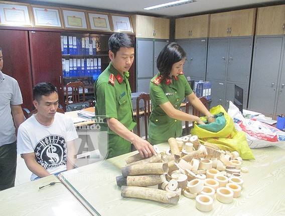 Can canh luong nga voi “khung” vua bi Cong an TP Ha Noi thu giu-Hinh-7