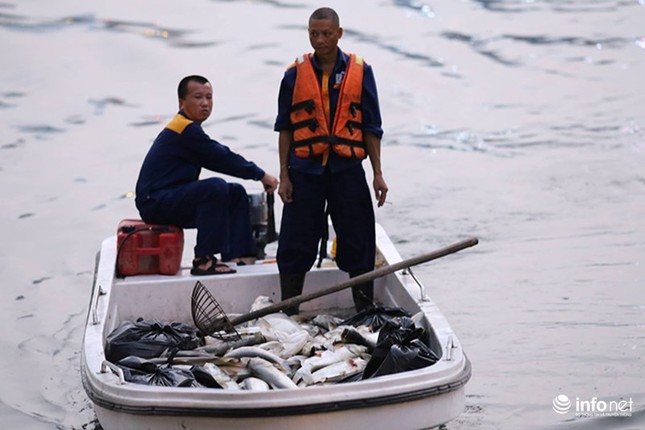 Ha Noi: Sau dung 1 nam, ca lai chet trang mat ho Hoang Cau-Hinh-2