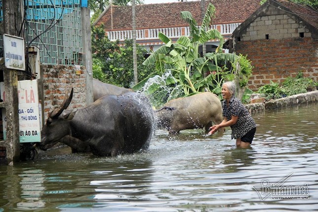 Ngap lut o Chuong My: 