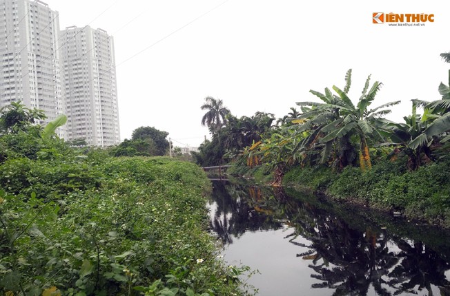 Canh kinh hai rau song tuoi nuoc thai den thoi o Ha Noi