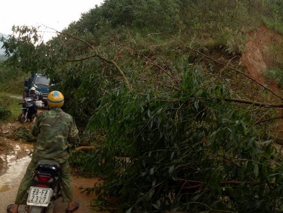 Anh: Nha cua, hoa mau bi pha nat do mua da o Hoa Binh-Hinh-8