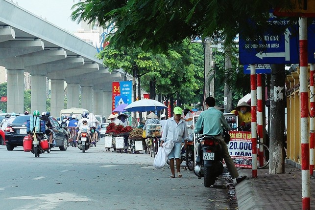 Anh: Nhuc nhoi xe ban trai cay lan chiem long duong o HN-Hinh-6