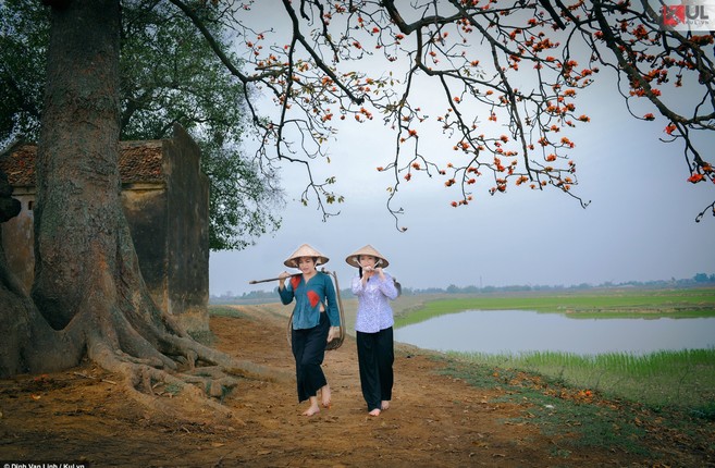 Thang Ba, hoa gao Bac Giang dep den nao long thieu nu-Hinh-13