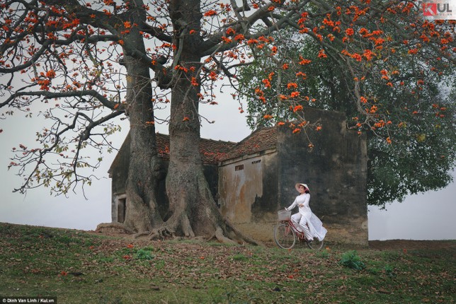 Thang Ba, hoa gao Bac Giang dep den nao long thieu nu