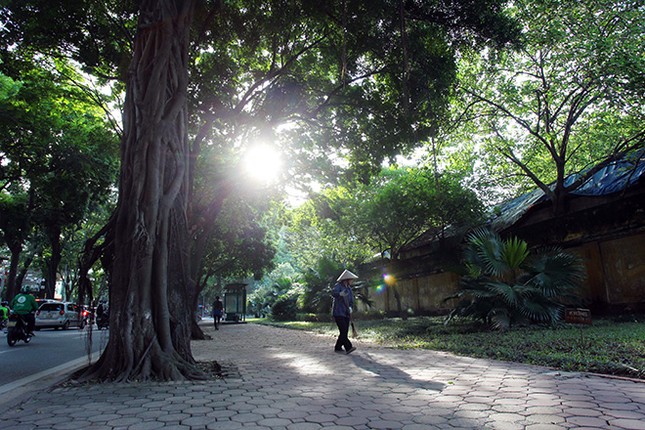 Co mot Ha Noi mua thu khien ban ngan ngo quen loi ve-Hinh-3