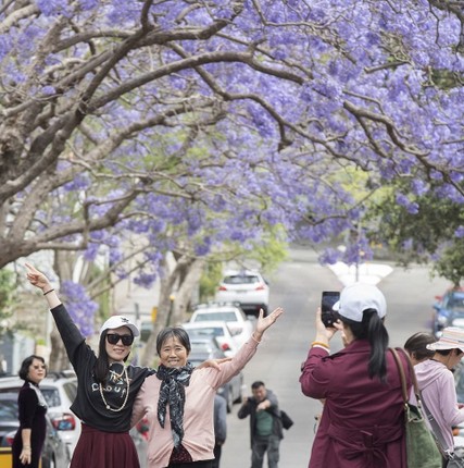 Phuong tim o Australia bung no hut hon du khach-Hinh-9