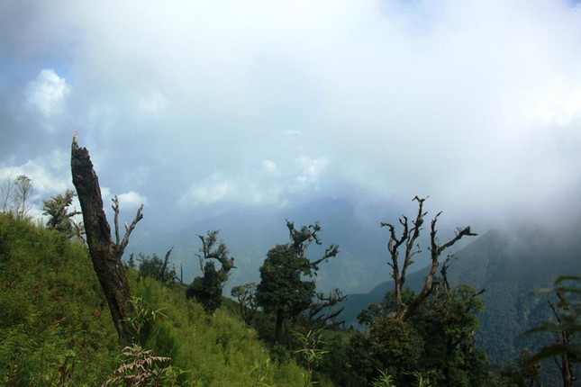 Phieu bong tren bien may Ta Xua dep ngay ngat-Hinh-4