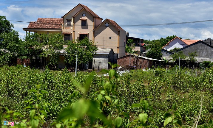 Khu do thi hoang vang canh Nha may loc dau Dung Quat-Hinh-7