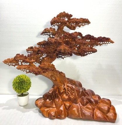 Me tit nhung chau bonsai go cau ky, tinh xao-Hinh-11