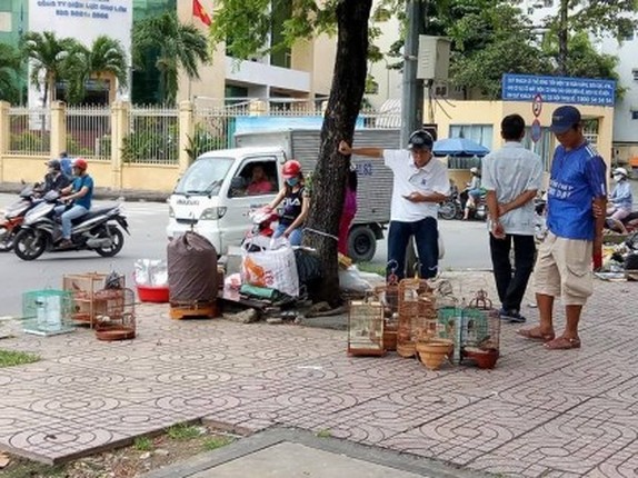 Net que doc dao o khu cho chuyen ban sau bo tai TP.HCM-Hinh-7