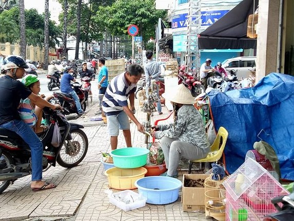 Net que doc dao o khu cho chuyen ban sau bo tai TP.HCM